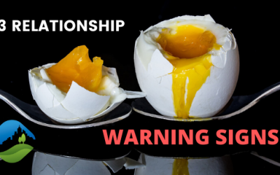 3 Relationship Warning Signs